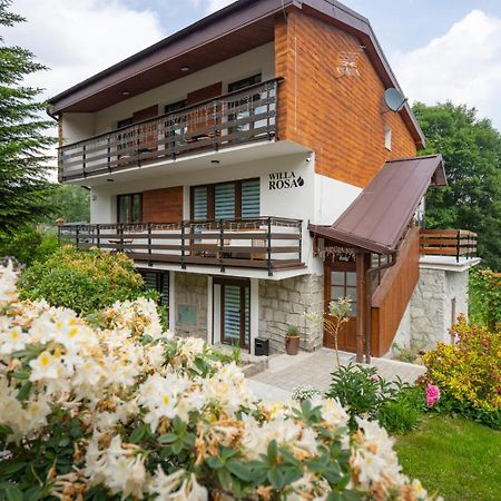 Willa Rosa-Apartamenty Z Prywatna Sauna Szklarska Poreba Bagian luar foto