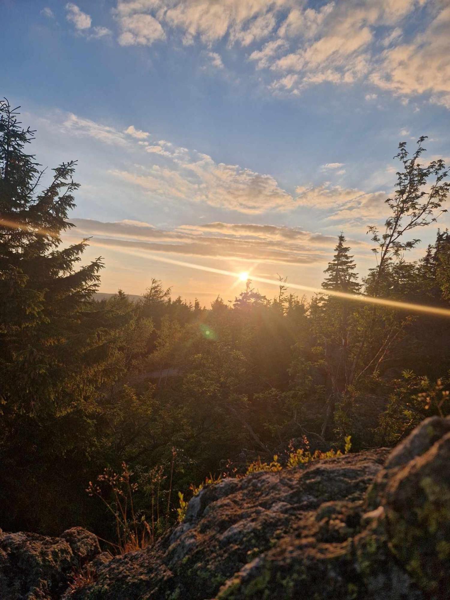 Willa Rosa-Apartamenty Z Prywatna Sauna Szklarska Poreba Bagian luar foto